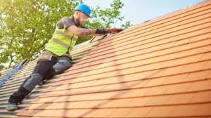 Best Skylight Installation and Repair  in Oak Grove, AL